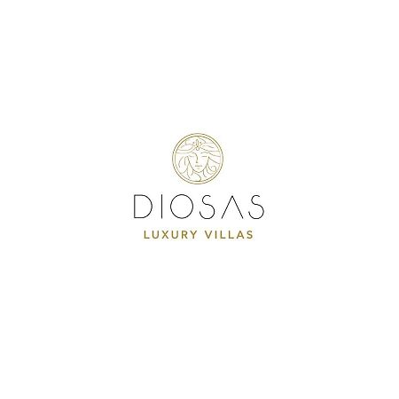 Diosas Luxury Villas Andipáta エクステリア 写真