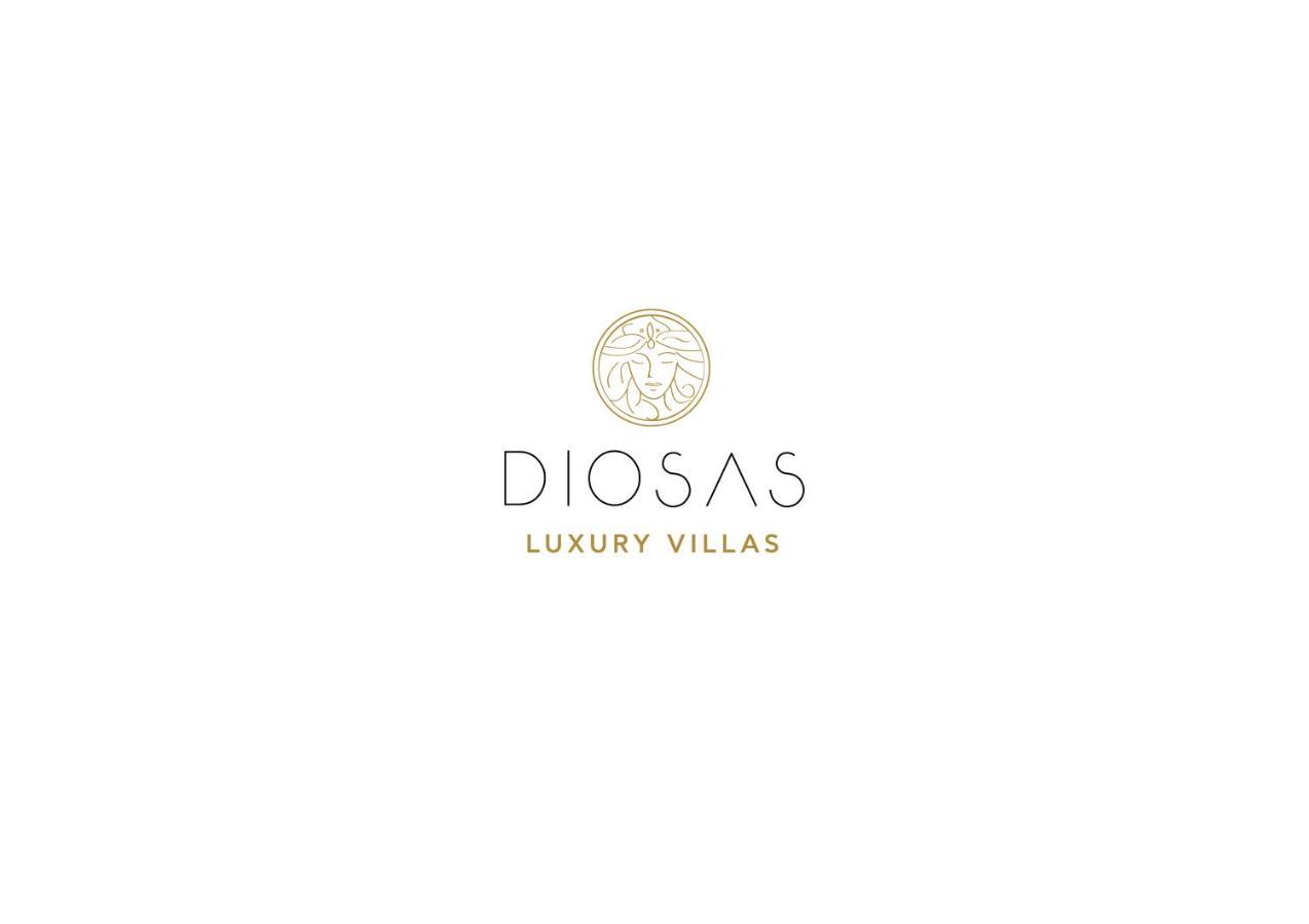 Diosas Luxury Villas Andipáta エクステリア 写真