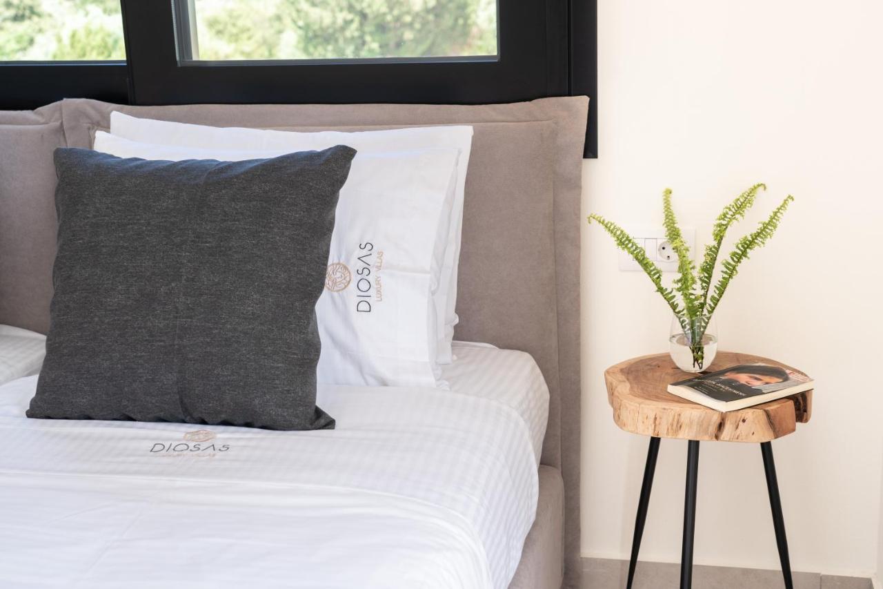 Diosas Luxury Villas Andipáta エクステリア 写真